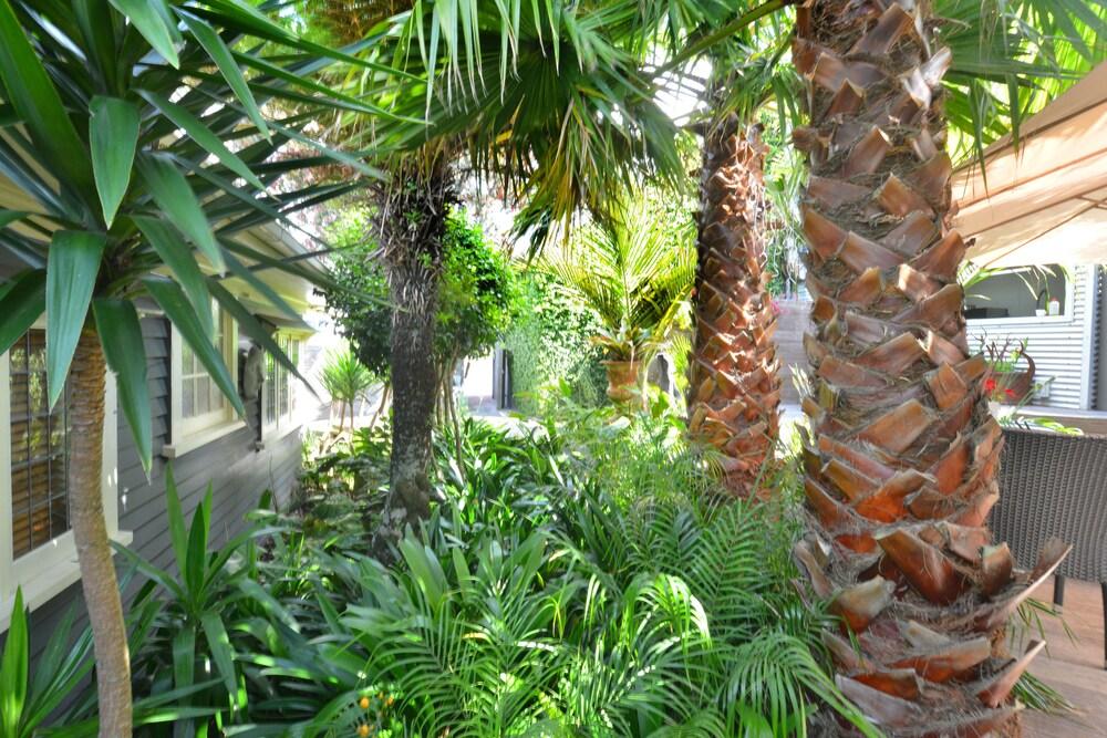 Nice Hotel New Plymouth Exterior foto